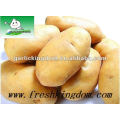 new crop fresh potato